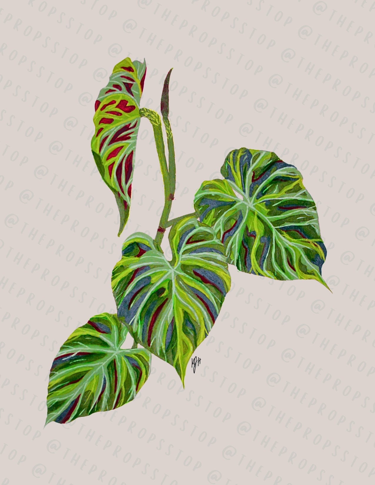 philodendron art Philodendron Verrocosum Original Art (Digital File)
