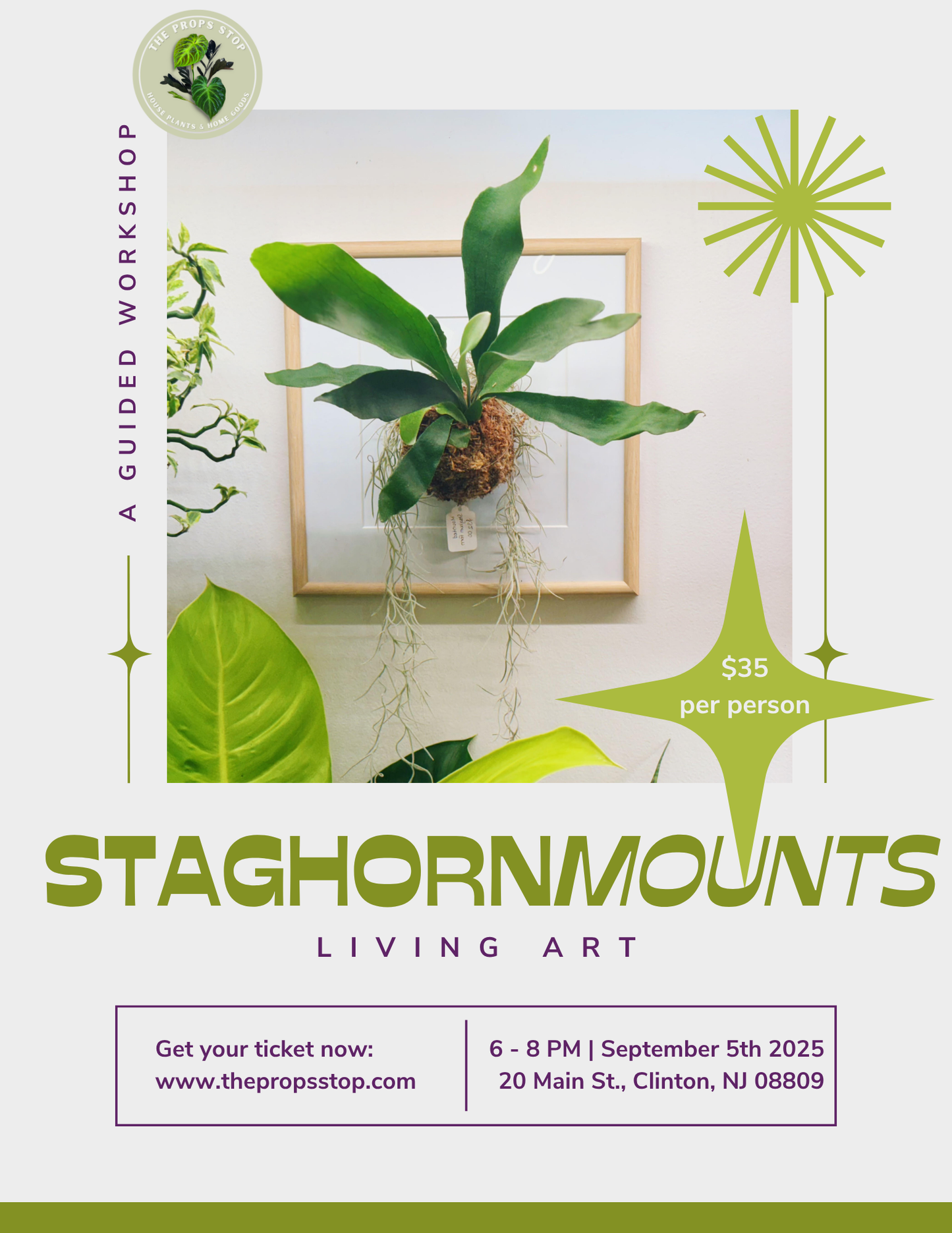 Staghorn Mounting Workshop