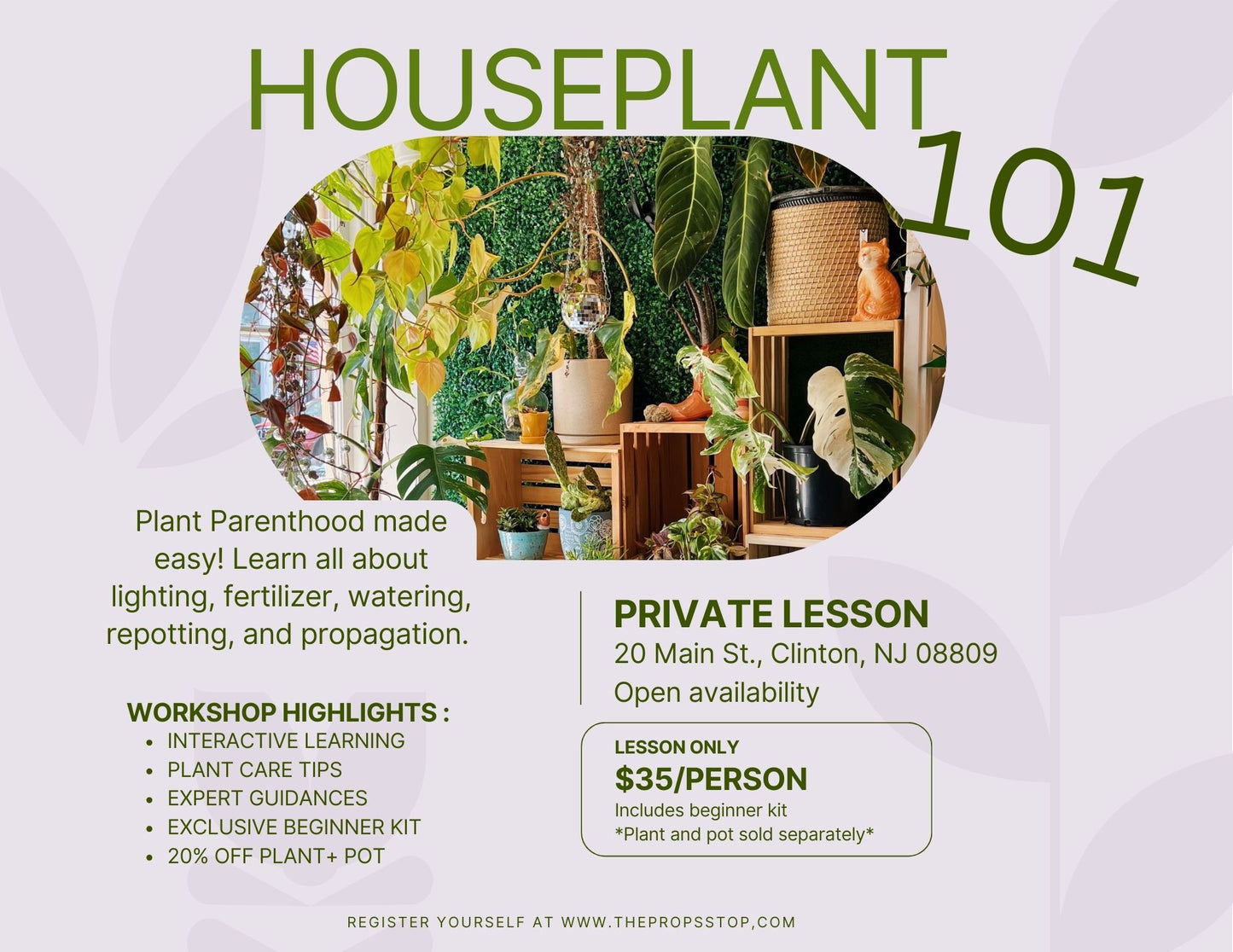 Houseplant 101