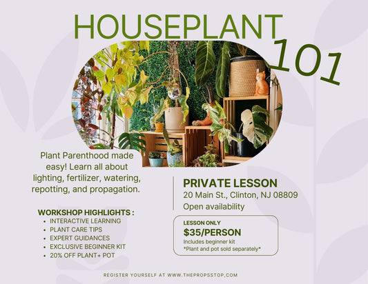 Houseplant 101